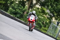 PJ-Motorsport-Photography-2020;anglesey;brands-hatch;cadwell-park;croft;donington-park;enduro-digital-images;event-digital-images;eventdigitalimages;mallory;no-limits;oulton-park;peter-wileman-photography;racing-digital-images;silverstone;snetterton;trackday-digital-images;trackday-photos;vmcc-banbury-run;welsh-2-day-enduro